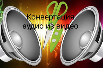 Вы мне видео - я вам аудиозапись