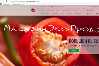 Создам интернет-магазин