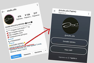 Дизайн Taplink, Taplink - магазин