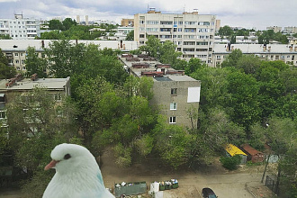 Напишу сценарий для ролика, рекламного ролика