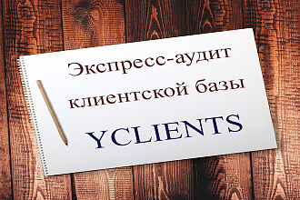 Экспресс аудит клиентской базы в yclients