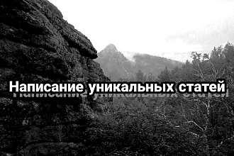 Выполняю написание уникальных статей с нуля от 500 рублей