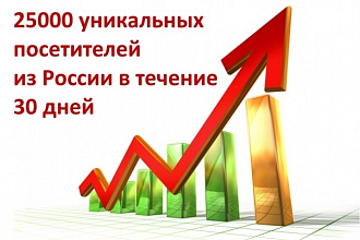 25000 уникальных посетителей из России в течение 30 дней