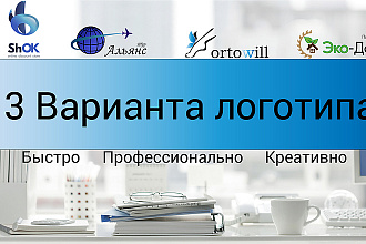 3 Варианта Логотипа