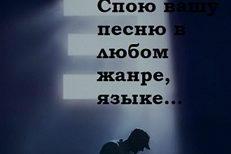 Спою и запишу вашу песню