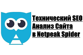 Выгружу Технический SEO Анализ Сайта из Netpeak Spider