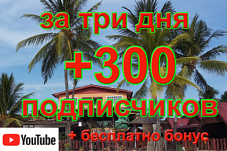 300 подписчиков на ваш канал YouTube