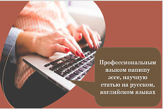 Напишу эссе, научную статью