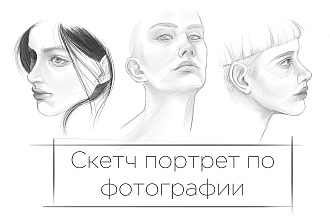 Нарисую портрет в растровой графике