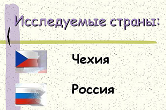 Перевод текста с чешского языка на русский язык