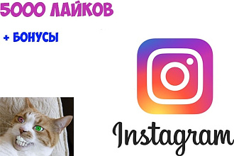 5000 Лайков в инстаграм на ваши публикации