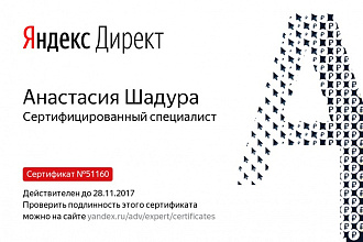 Профессиональная настройка Яндекс.Директа