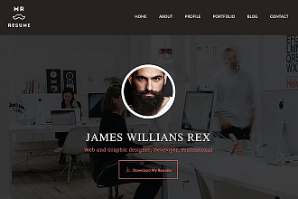 Тема Morgan - Resume, vCard, Personal, Profile and Portfolio WP Theme