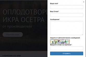 Исправлю работу формы на вашем сайте