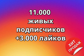 11.000 живых подписчиков в Инстаграм +3.000 лайков