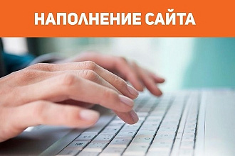 Добавлю в интернет-магазин 100 товаров , наполнение сайта