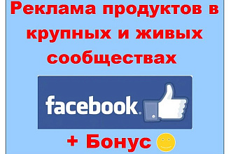 Реклама продуктов в Facebook - одно объявление в крупных пабликах
