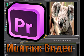 Монтаж видео, MLG