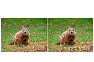 Занимаюсь ратушю фотографий