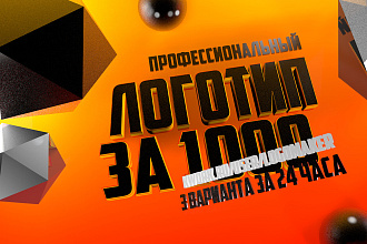 Убойный логотип за 24 часа. Дипломированный дизайнер