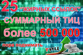 25 очень жирных ссылок + Бонусы. Суммарный ТИЦ выше 500000