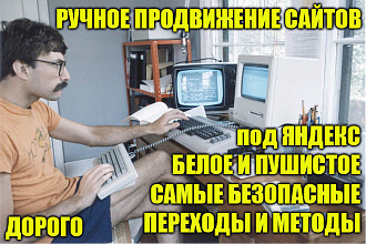 Ручное продвижение сайта до 2 запросов