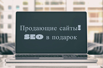 Продающий лендинг за сутки с момента заказа, плюс первичное SEO