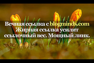 Мощная ссылка с сайта blogminds.com