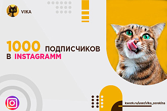 1000 подписчиков в Instagram