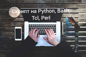 Напишу скрипт на Python, bash, Tcl, Perl