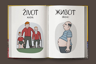 Переводы русский - чешский, украинский - чешский и наоборот