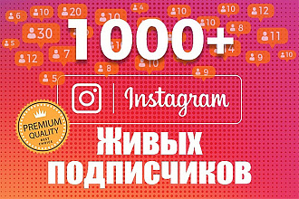 Живые подписчики Instagram. Премиум качество