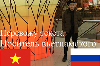 Профессиональный переводчик вьетнамского