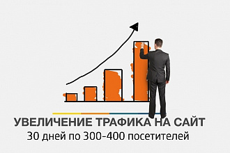 300-400 уникальных посетителей каждый день в течении 30 дней