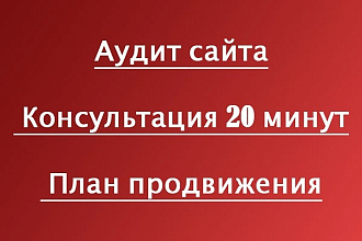Аудит сайта + Консультация 20 минут + План продвижения