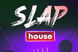 Напишу музыку в жанре Slap House или Brazilian Bass