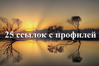 Сделаю 25 профильных ссылок на ваш сайт