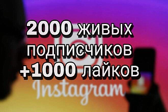 2000 живых подписчиков +1000 лайков в инстаграмм