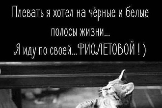 Переведу текст