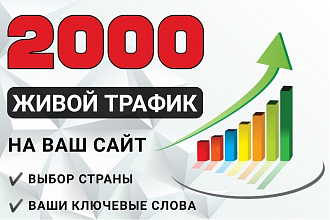 Живой трафик на Ваш сайт из поиска Яндекс или Google. Геотаргетинг