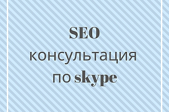 Консультация по SEO по skype 1 час