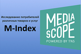 Выгрузка и оценка потребит. предпочтений и поведения ЦА по M-Index