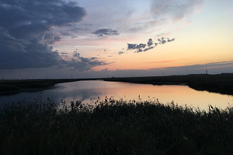 Редактор текста