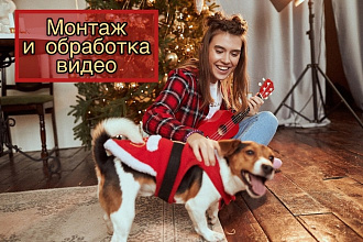 Монтаж и обработка видео
