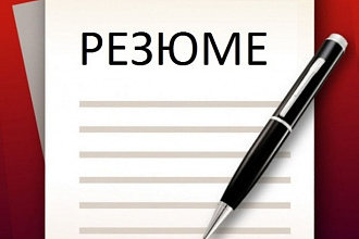 Быстрое, утонченное, идеальное резюме. Вы больше не будете сидеть дома