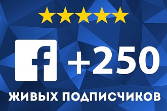 250 подписчиков на паблик в Фейсбук