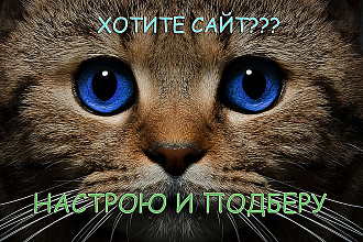 Зарегистрирую сайт, подберу домен