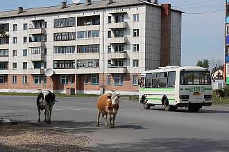 База компании Асино