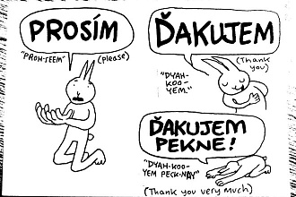Переведу со словацкого языка на русский язык