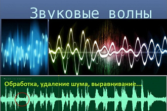 Обработаю звуковой ролик заказчика